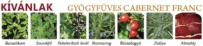 Kívánlak, gyógyfüves Cabernet Franc - Aklan Pince